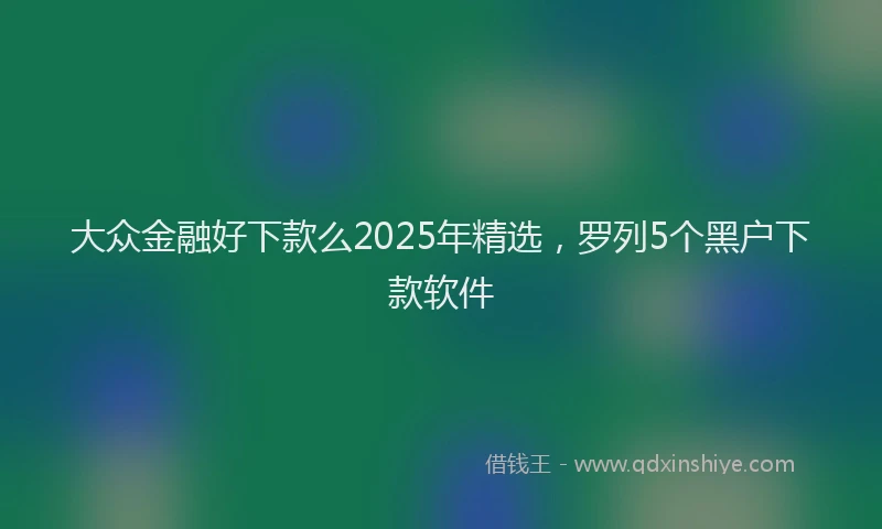 大众金融好下款么2025年精选，罗列5个黑户下款软件