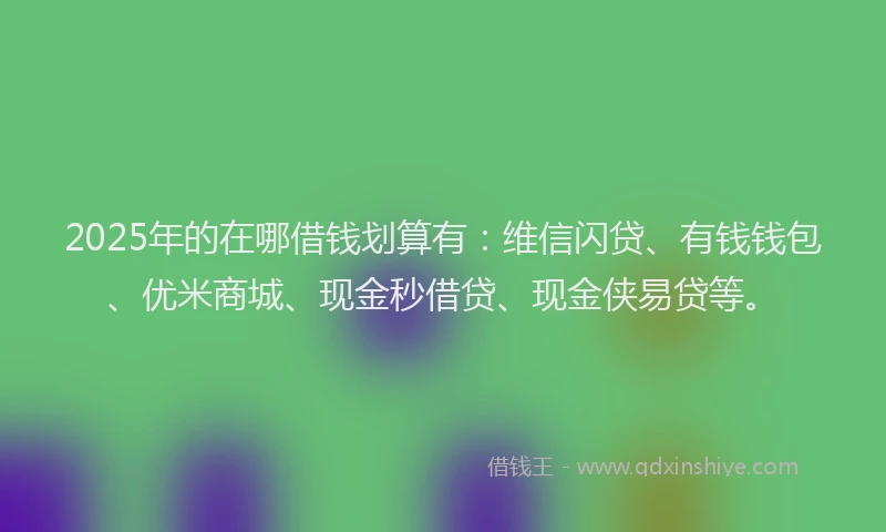 2025年的在哪借钱划算有：维信闪贷、有钱钱包、优米商城、现金秒借贷、现金侠易贷等。