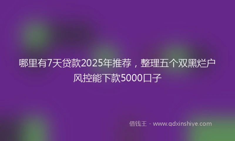 哪里有7天贷款2025年推荐，整理五个双黑烂户风控能下款5000口子