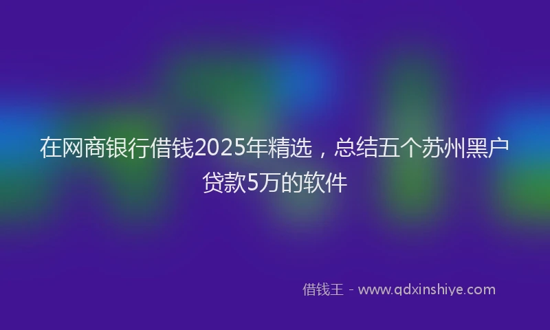 在网商银行借钱2025年精选，总结五个苏州黑户贷款5万的软件