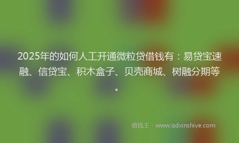 2025年的如何人工开通微粒贷借钱有：易贷宝速融、信贷宝、积木盒子、贝壳商城、树融分期等。