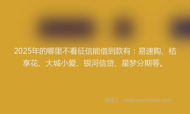 2025年的哪里不看征信能借到款有：易速购、桔享花、大城小爱、银河信贷、星梦分期等。