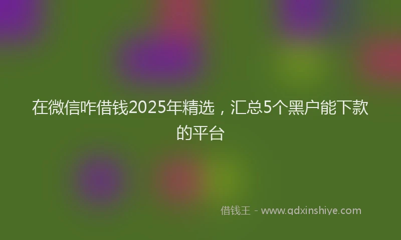 在微信咋借钱2025年精选，汇总5个黑户能下款的平台