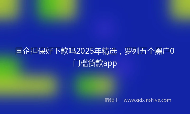 国企担保好下款吗2025年精选，罗列五个黑户0门槛贷款app