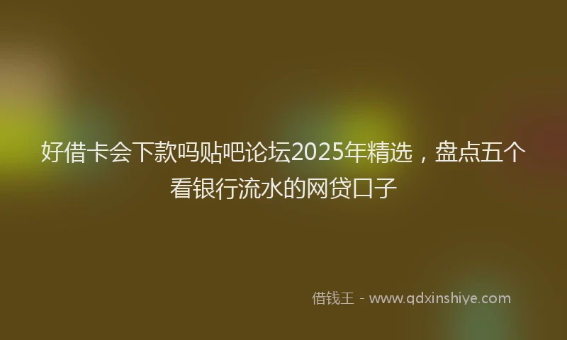 好借卡会下款吗贴吧论坛2025年精选，盘点五个看银行流水的网贷口子