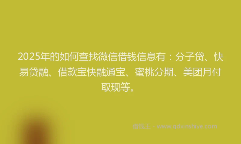 2025年的如何查找微信借钱信息有：分子贷、快易贷融、借款宝快融通宝、蜜桃分期、美团月付取现等。