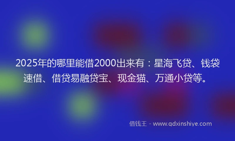 2025年的哪里能借2000出来有：星海飞贷、钱袋速借、借贷易融贷宝、现金猫、万通小贷等。