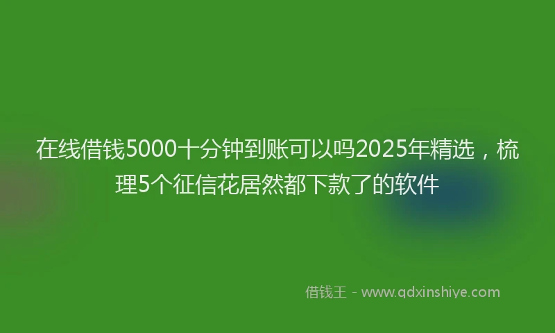 在线借钱5000十分钟到账可以吗2025年精选，梳理5个征信花居然都下款了的软件