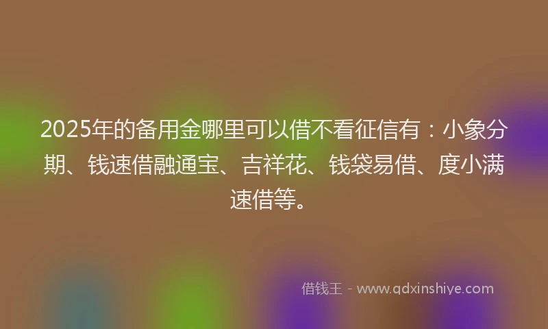2025年的备用金哪里可以借不看征信有：小象分期、钱速借融通宝、吉祥花、钱袋易借、度小满速借等。