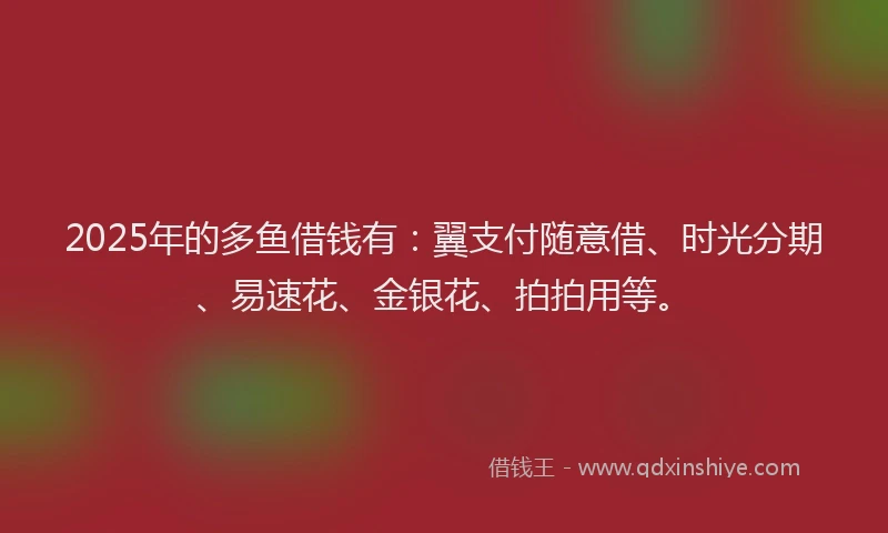 2025年的多鱼借钱有：翼支付随意借、时光分期、易速花、金银花、拍拍用等。