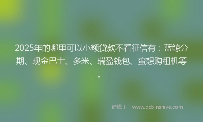 2025年的哪里可以小额贷款不看征信有：蓝鲸分期、现金巴士、多米、瑞盈钱包、蛮想购租机等。