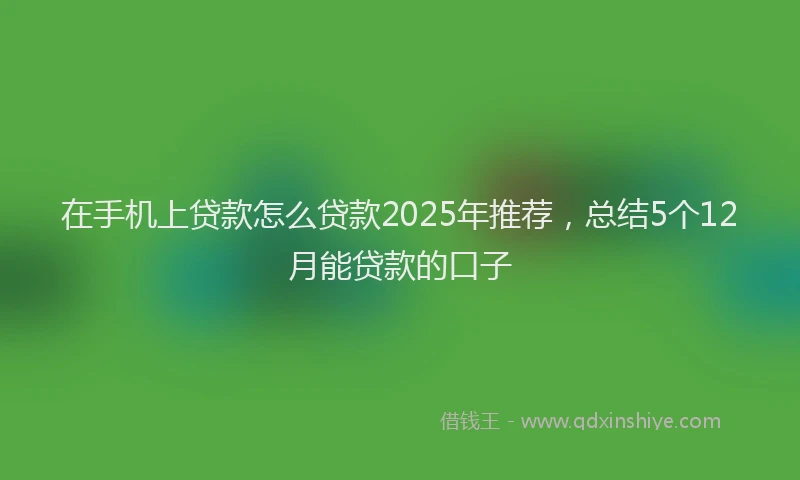 在手机上贷款怎么贷款2025年推荐，总结5个12月能贷款的口子