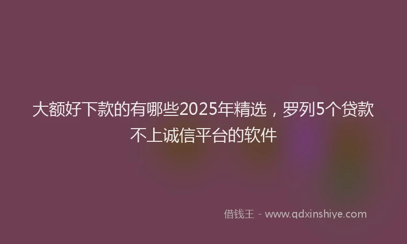 大额好下款的有哪些2025年精选，罗列5个贷款不上诚信平台的软件