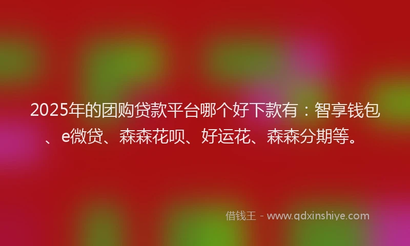 2025年的团购贷款平台哪个好下款有：智享钱包、e微贷、森森花呗、好运花、森森分期等。