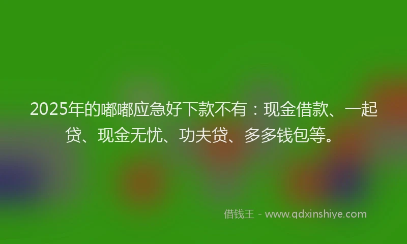 2025年的嘟嘟应急好下款不有：现金借款、一起贷、现金无忧、功夫贷、多多钱包等。