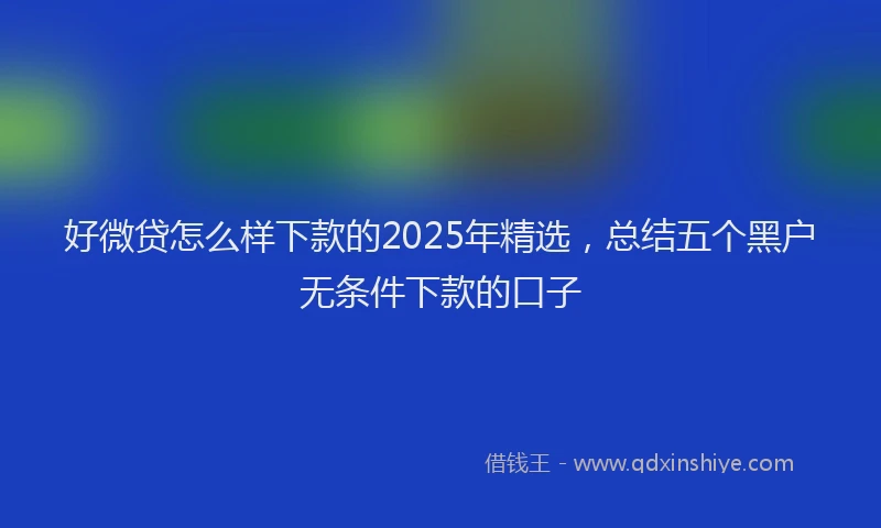好微贷怎么样下款的2025年精选，总结五个黑户无条件下款的口子