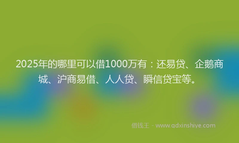 2025年的哪里可以借1000万有：还易贷、企鹅商城、沪商易借、人人贷、瞬信贷宝等。