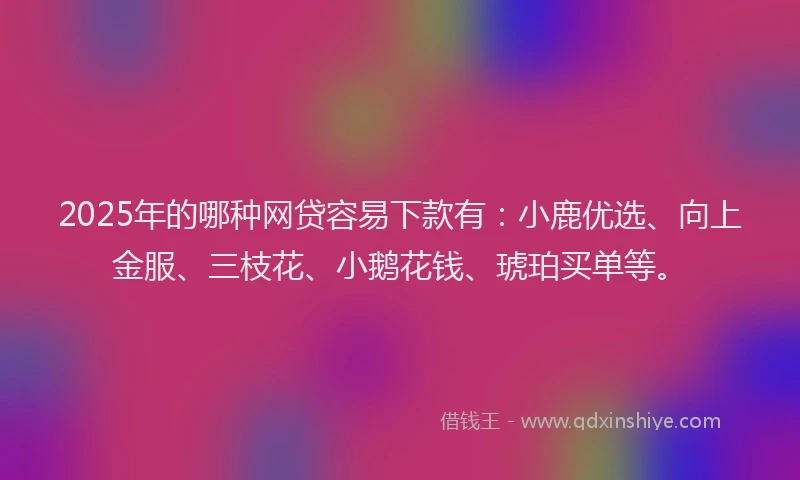 2025年的哪种网贷容易下款有：小鹿优选、向上金服、三枝花、小鹅花钱、琥珀买单等。
