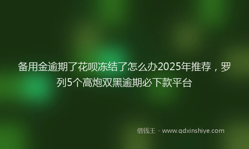备用金逾期了花呗冻结了怎么办2025年推荐，罗列5个高炮双黑逾期必下款平台