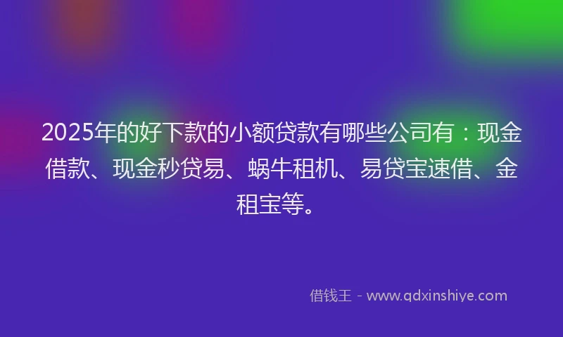 2025年的好下款的小额贷款有哪些公司有：现金借款、现金秒贷易、蜗牛租机、易贷宝速借、金租宝等。