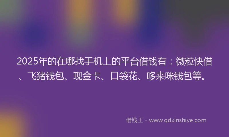 2025年的在哪找手机上的平台借钱有：微粒快借、飞猪钱包、现金卡、口袋花、哆来咪钱包等。