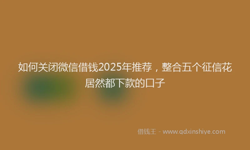 如何关闭微信借钱2025年推荐，整合五个征信花居然都下款的口子