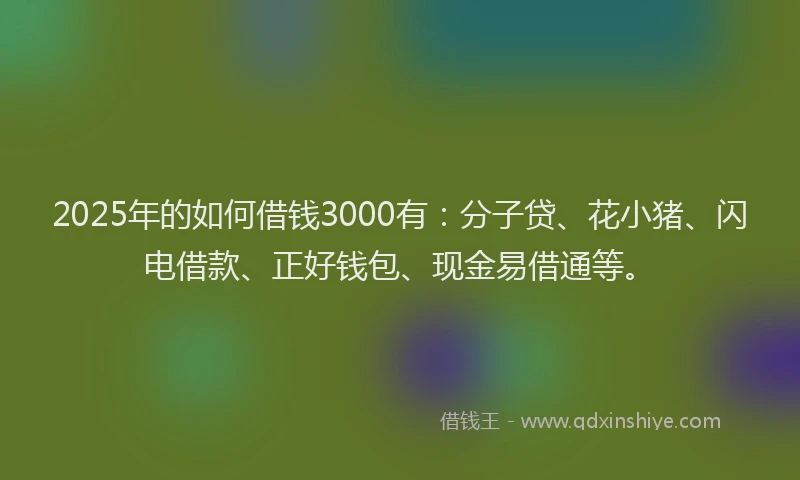 2025年的如何借钱3000有：分子贷、花小猪、闪电借款、正好钱包、现金易借通等。