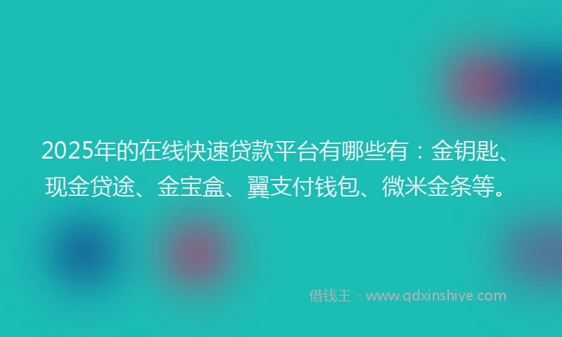 2025年的在线快速贷款平台有哪些有：金钥匙、现金贷途、金宝盒、翼支付钱包、微米金条等。
