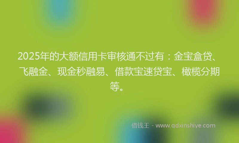 2025年的大额信用卡审核通不过有：金宝盒贷、飞融金、现金秒融易、借款宝速贷宝、橄榄分期等。