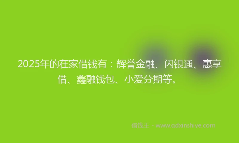 2025年的在家借钱有：辉誉金融、闪银通、惠享借、鑫融钱包、小爱分期等。