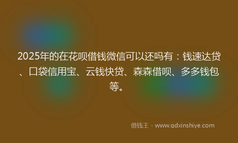 2025年的在花呗借钱微信可以还吗有：钱速达贷、口袋信用宝、云钱快贷、森森借呗、多多钱包等。