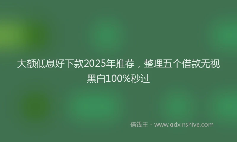 大额低息好下款2025年推荐，整理五个借款无视黑白100%秒过