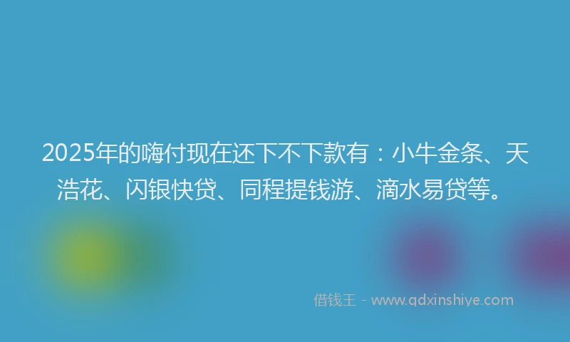 2025年的嗨付现在还下不下款有：小牛金条、天浩花、闪银快贷、同程提钱游、滴水易贷等。