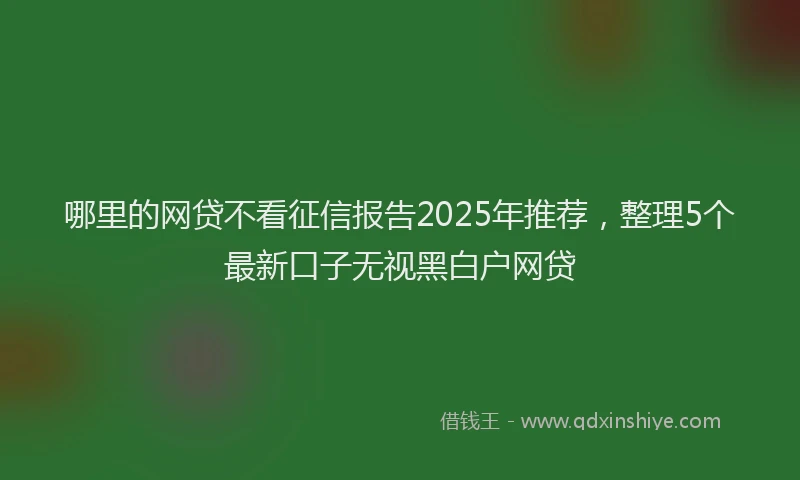 哪里的网贷不看征信报告2025年推荐，整理5个最新口子无视黑白户网贷