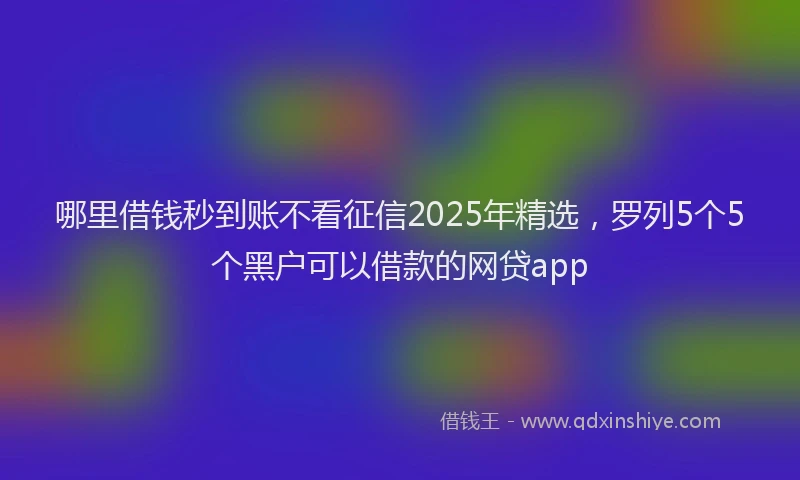 哪里借钱秒到账不看征信2025年精选，罗列5个5个黑户可以借款的网贷app