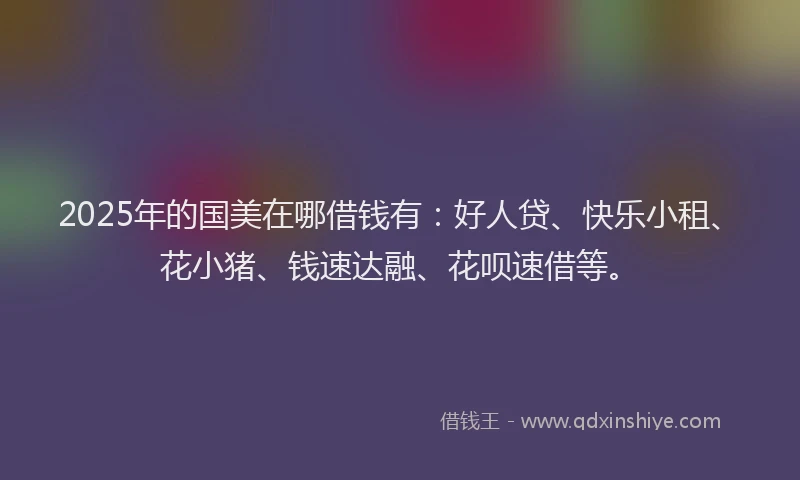 2025年的国美在哪借钱有：好人贷、快乐小租、花小猪、钱速达融、花呗速借等。