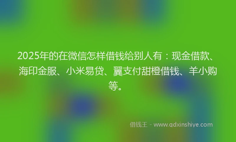 2025年的在微信怎样借钱给别人有：现金借款、海印金服、小米易贷、翼支付甜橙借钱、羊小购等。
