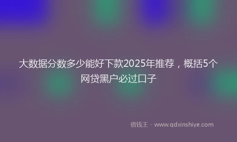 大数据分数多少能好下款2025年推荐，概括5个网贷黑户必过口子