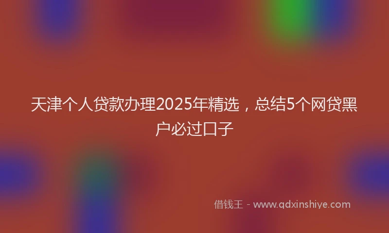 天津个人贷款办理2025年精选，总结5个网贷黑户必过口子