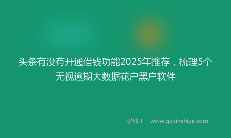 头条有没有开通借钱功能2025年推荐，梳理5个无视逾期大数据花户黑户软件