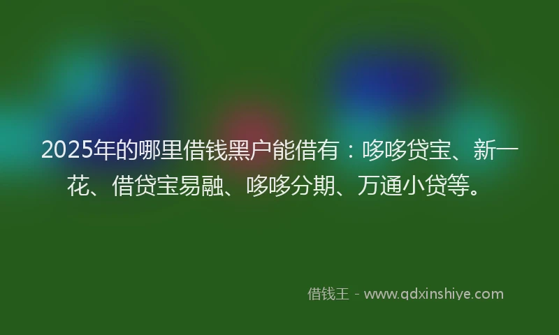 2025年的哪里借钱黑户能借有：哆哆贷宝、新一花、借贷宝易融、哆哆分期、万通小贷等。