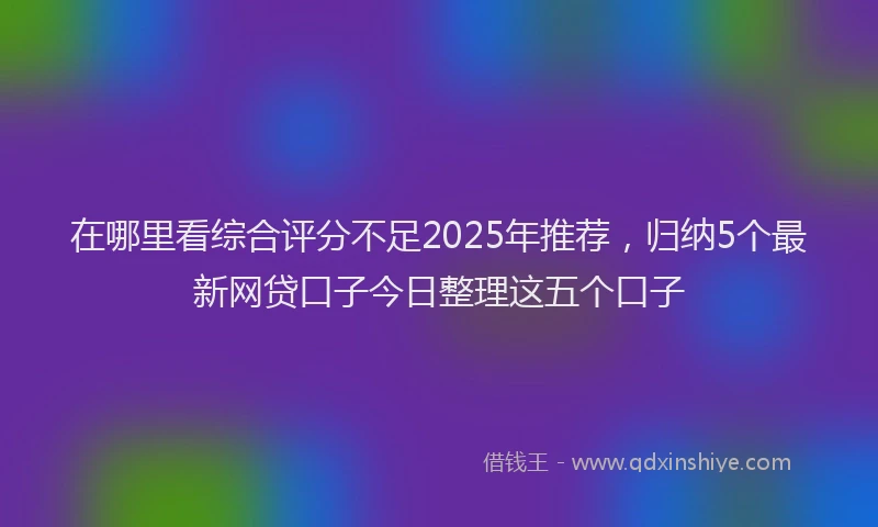 在哪里看综合评分不足2025年推荐，归纳5个最新网贷口子今日整理这五个口子