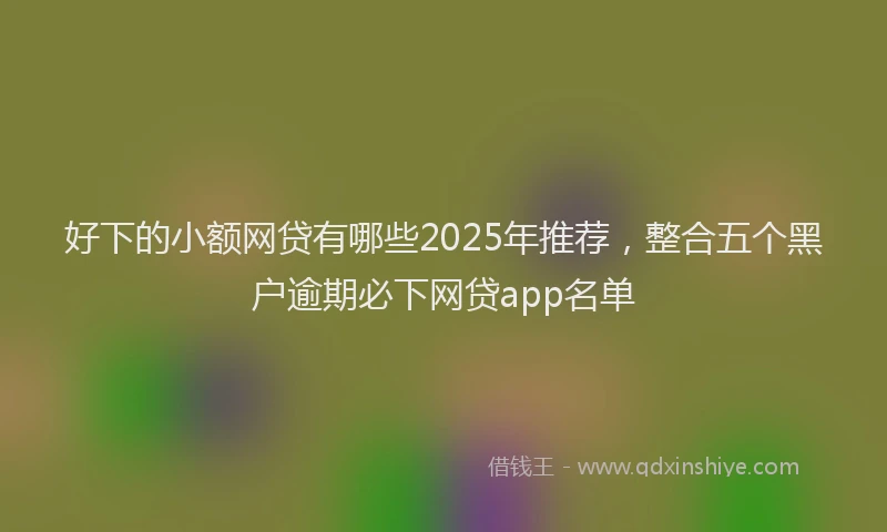 好下的小额网贷有哪些2025年推荐，整合五个黑户逾期必下网贷app名单
