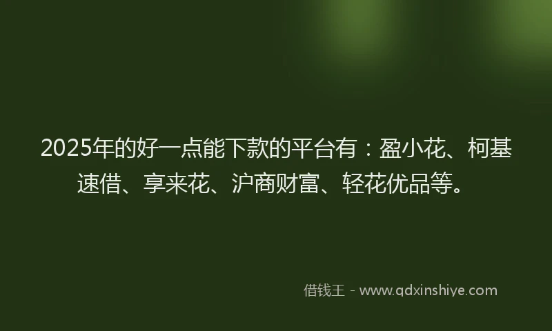 2025年的好一点能下款的平台有：盈小花、柯基速借、享来花、沪商财富、轻花优品等。