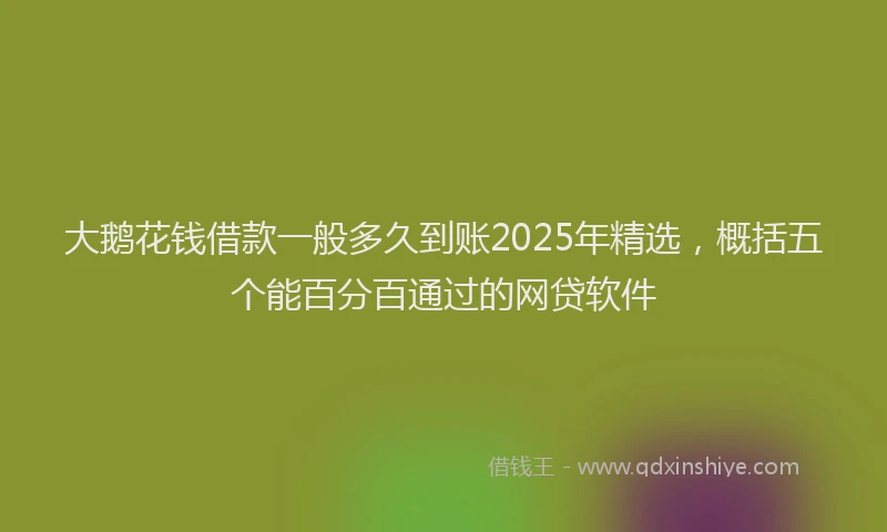 大鹅花钱借款一般多久到账2025年精选，概括五个能百分百通过的网贷软件