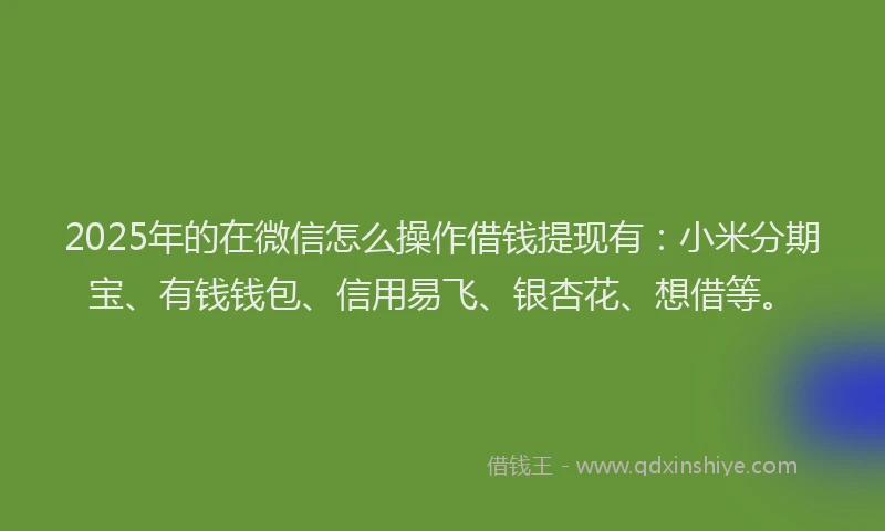 2025年的在微信怎么操作借钱提现有：小米分期宝、有钱钱包、信用易飞、银杏花、想借等。