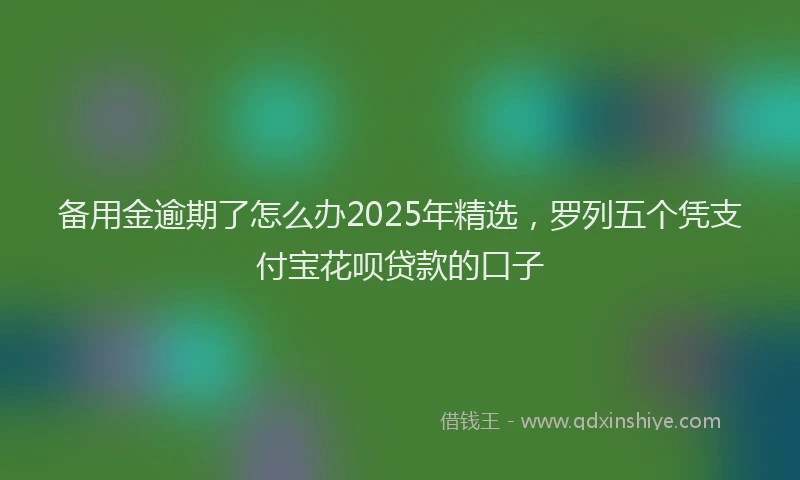 备用金逾期了怎么办2025年精选，罗列五个凭支付宝花呗贷款的口子