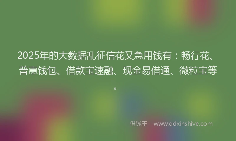 2025年的大数据乱征信花又急用钱有：畅行花、普惠钱包、借款宝速融、现金易借通、微粒宝等。