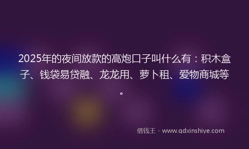 2025年的夜间放款的高炮口子叫什么有：积木盒子、钱袋易贷融、龙龙用、萝卜租、爱物商城等。
