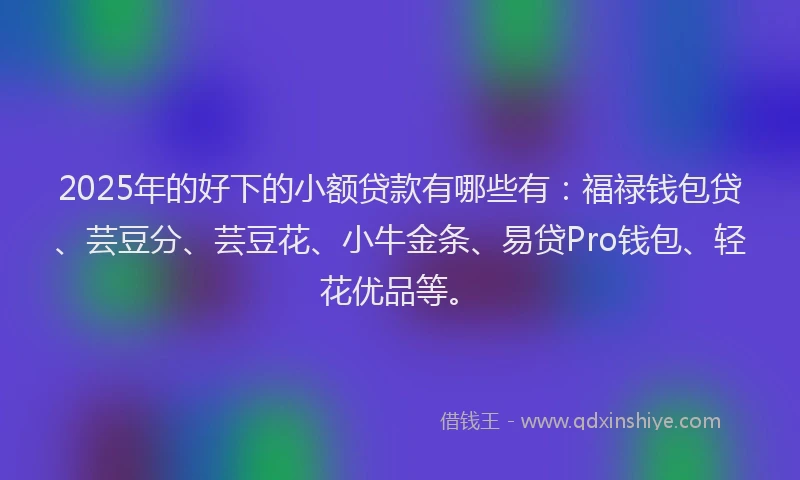 2025年的好下的小额贷款有哪些有：福禄钱包贷、芸豆分、芸豆花、小牛金条、易贷Pro钱包、轻花优品等。
